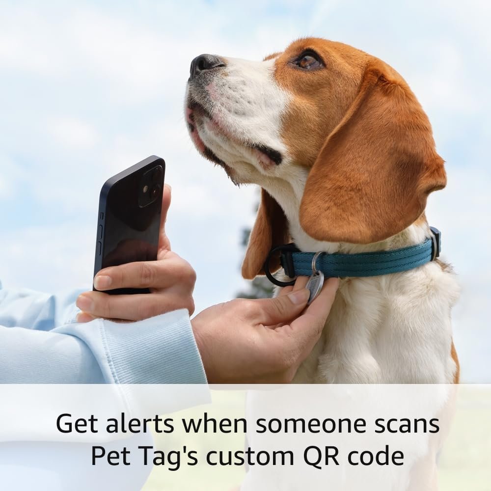 Ring Pet Tag | Easy-to-use tag with QR code | Real-time scan alerts