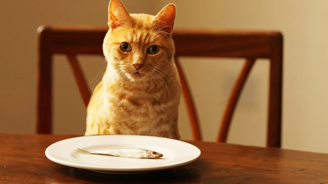 The Ultimate List of Foods Your Cat Should Never Eat