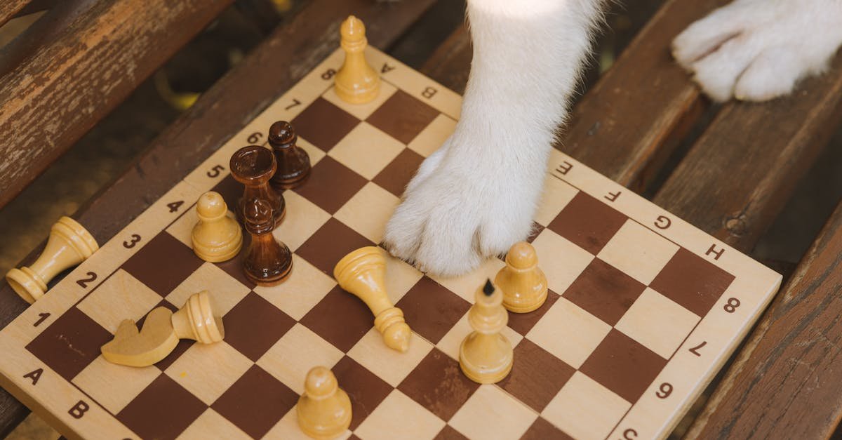 A cute dog paw interacting with a chessboard, creating a humorous scene in natural light.